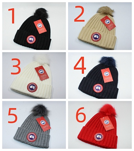 Canada Goose HE8062