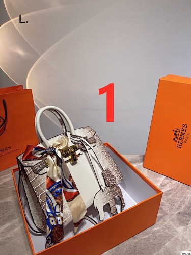 HERMES HE2895