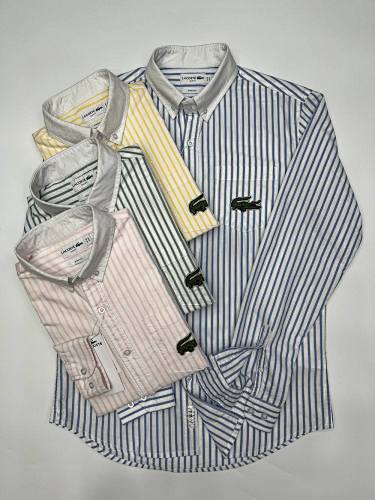 LACOSTE ZT8687