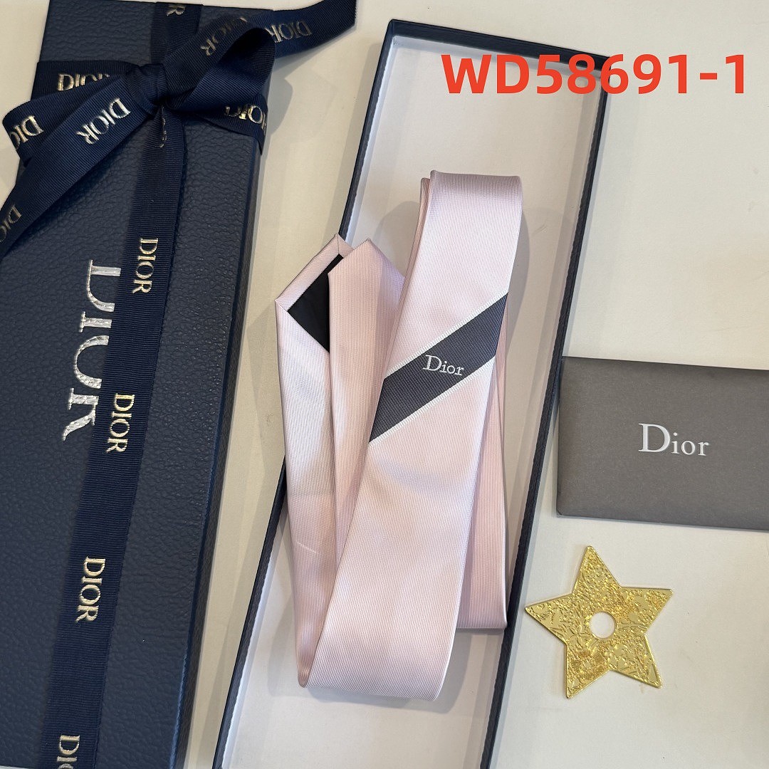 Dior Regimental Tie · WD58691 — תמונה 4
