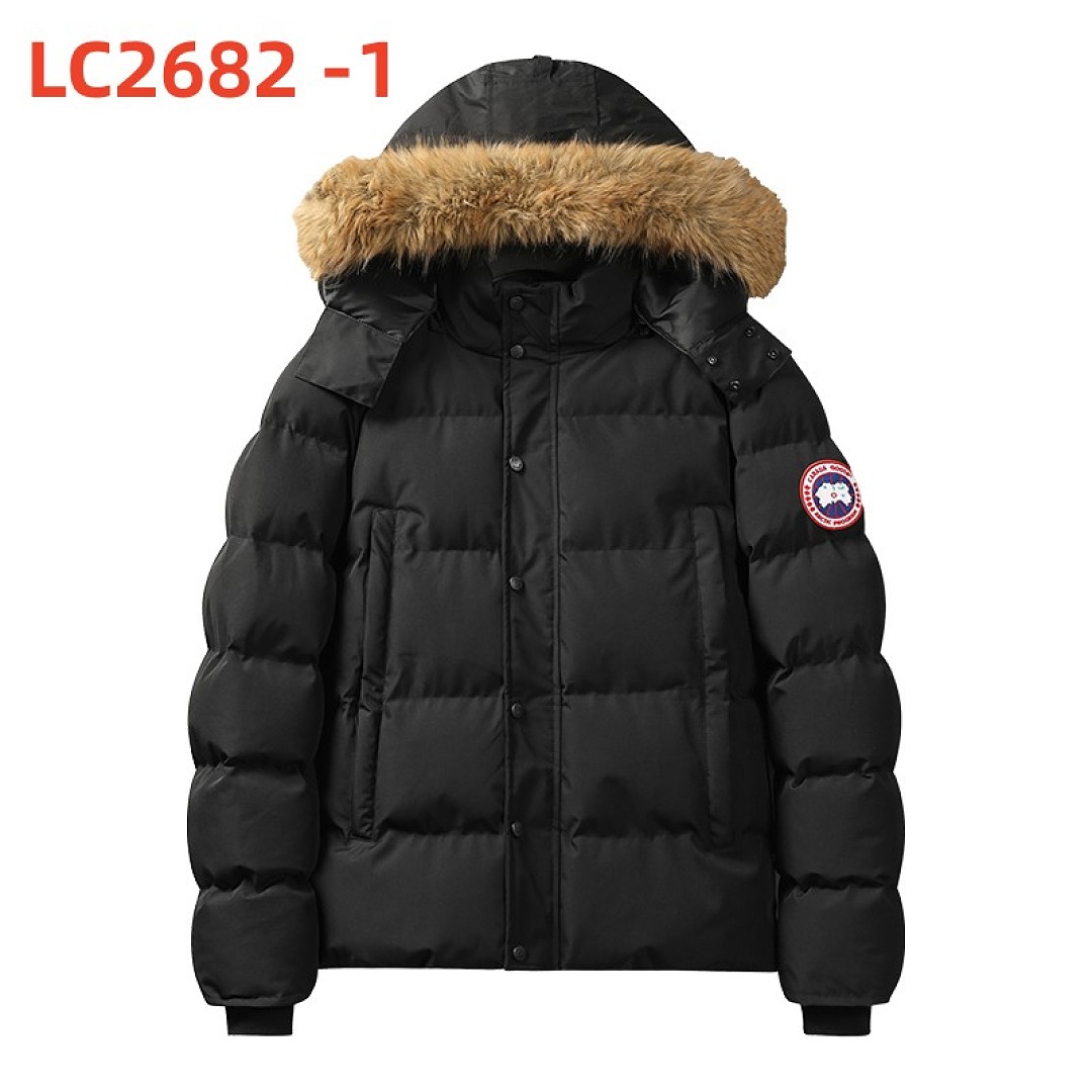 Canada Goose Wyndham Parka · LC2682 — תמונה 4