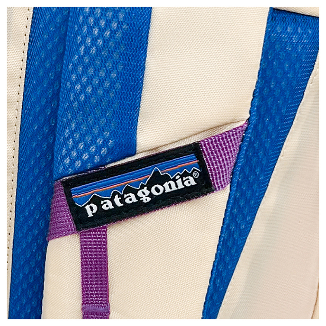 Patagonia Atom Tote Pack 20L · DP9364 — תמונה 15