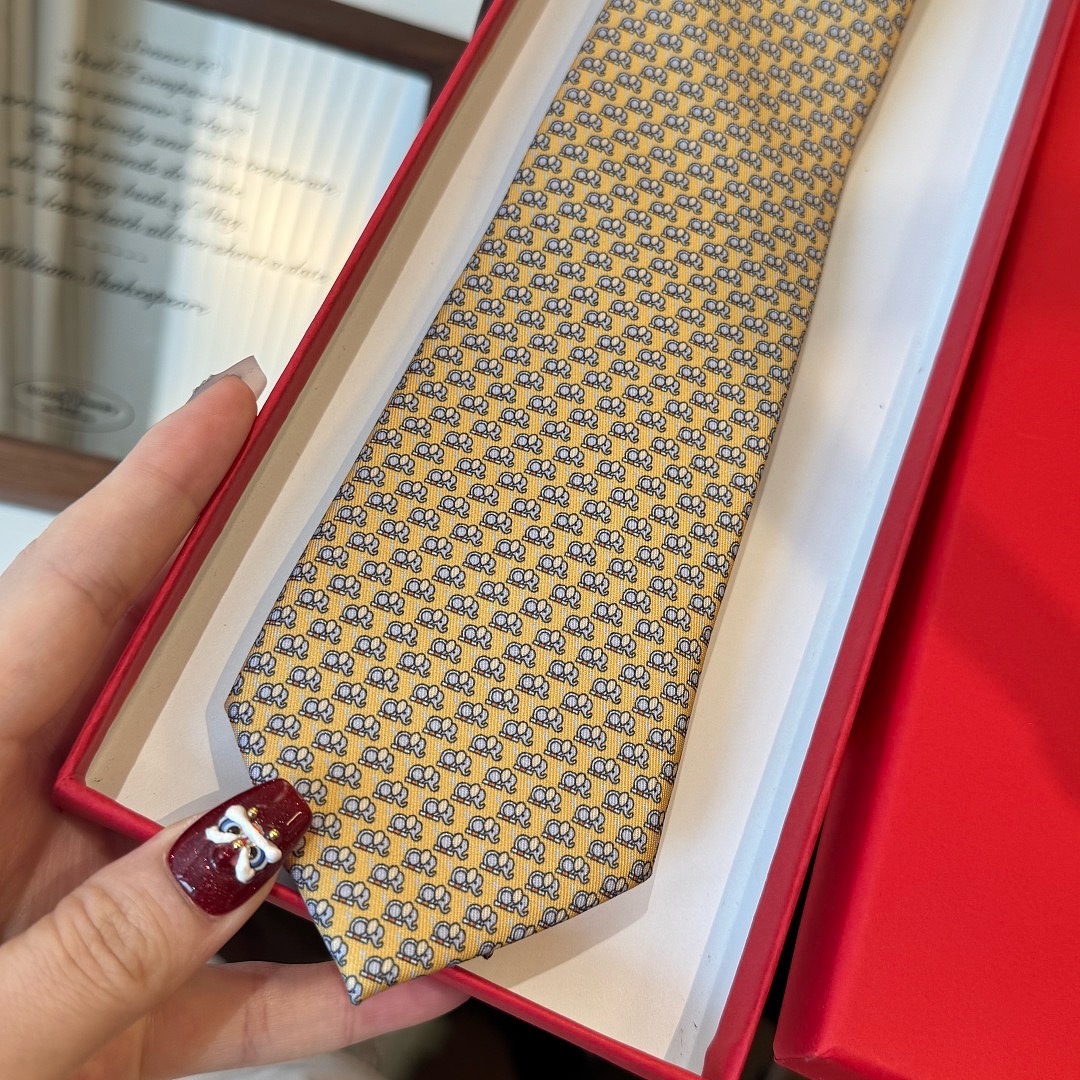 Salvatore Ferragamo — עניבה · WF48577 — תמונה 20