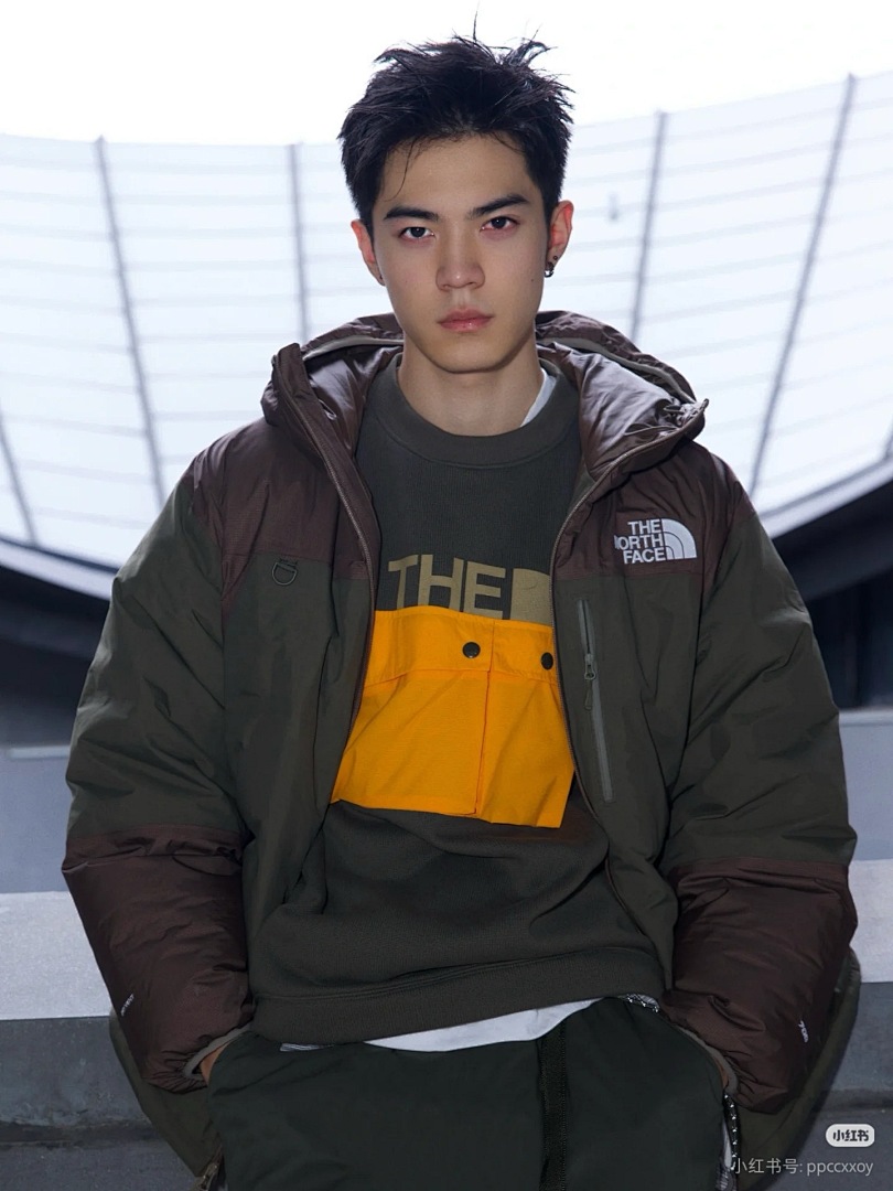 The North Face Himalayan Down Parka · BT34035 — תמונה 5