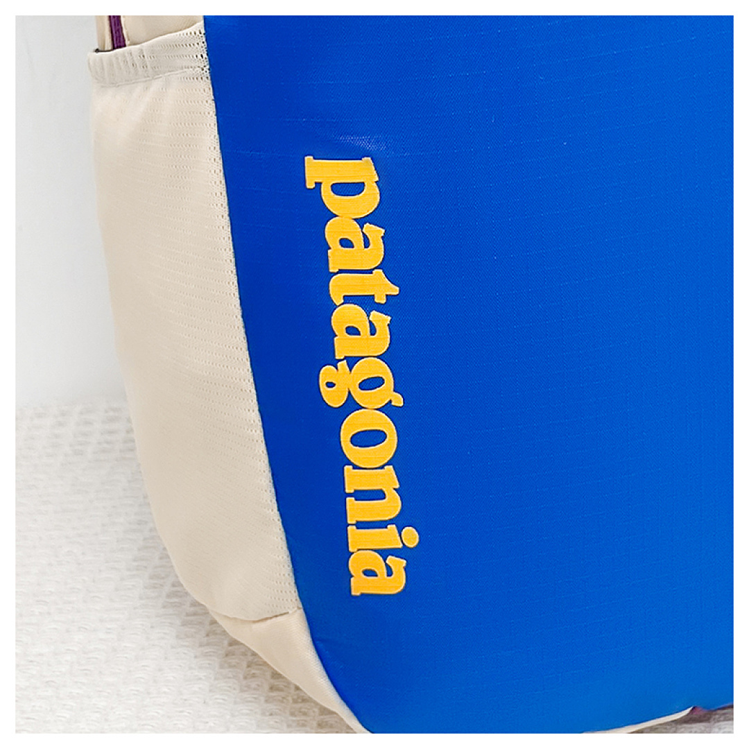 Patagonia Atom Tote Pack 20L · DP9364 — תמונה 22
