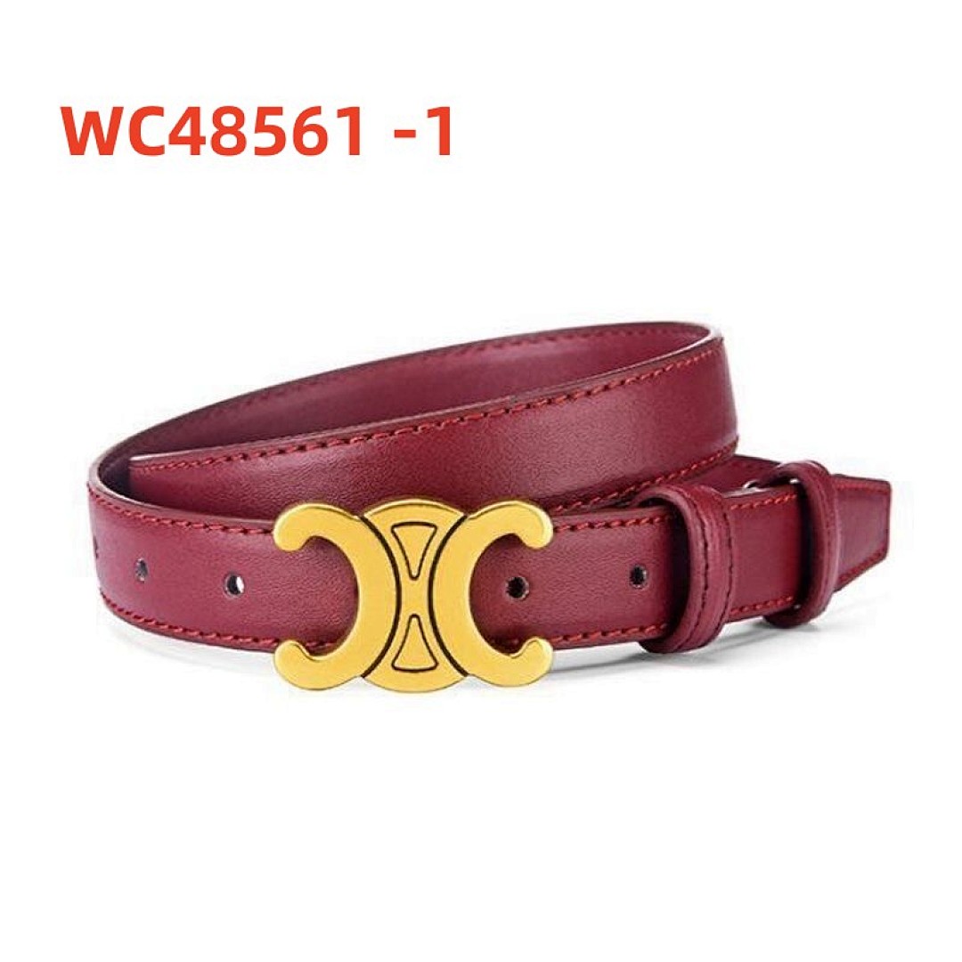 Celine Triomphe Belt · WC48561 — תמונה 22