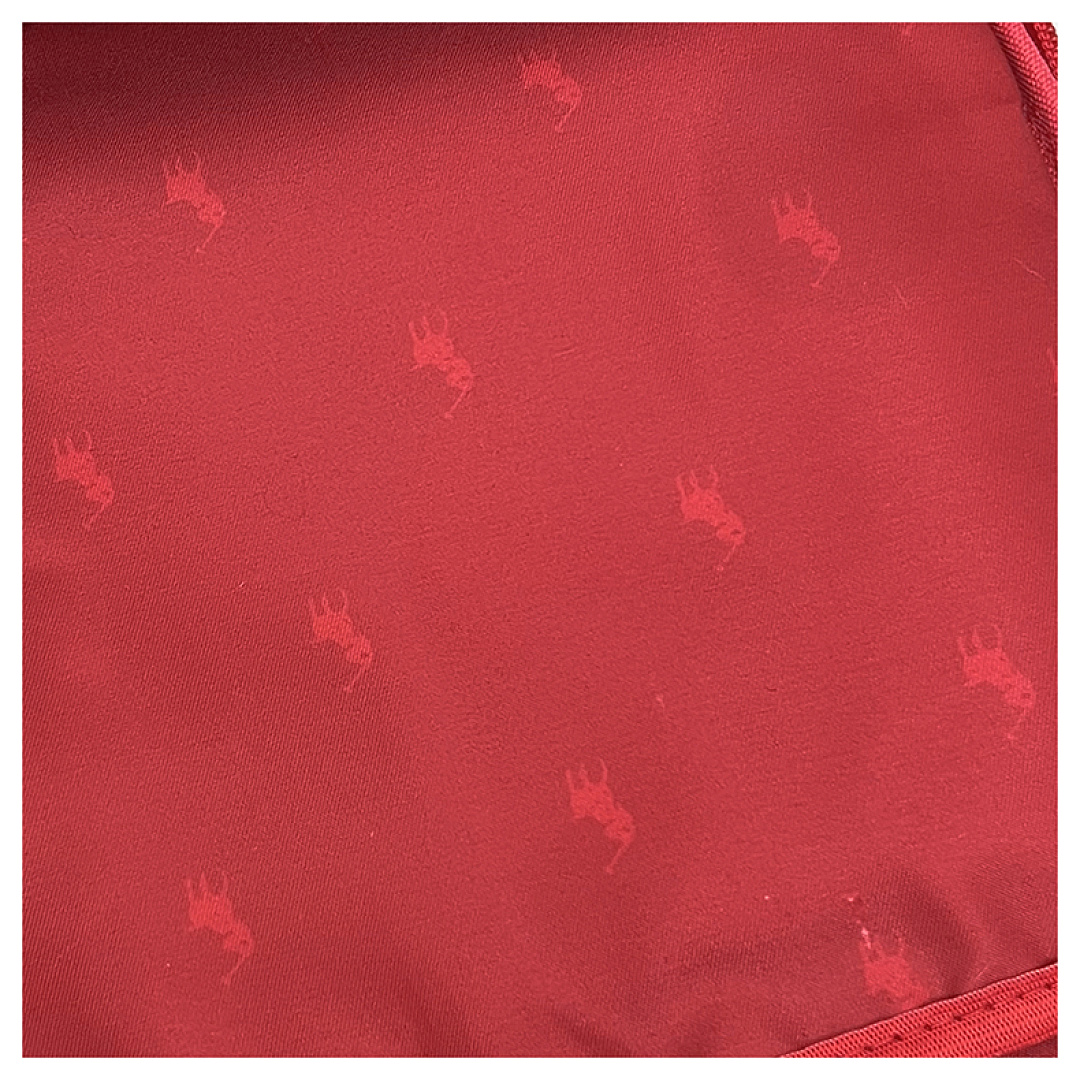 Polo Ralph Lauren Polo Pony Backpack · DP9427 — תמונה 24