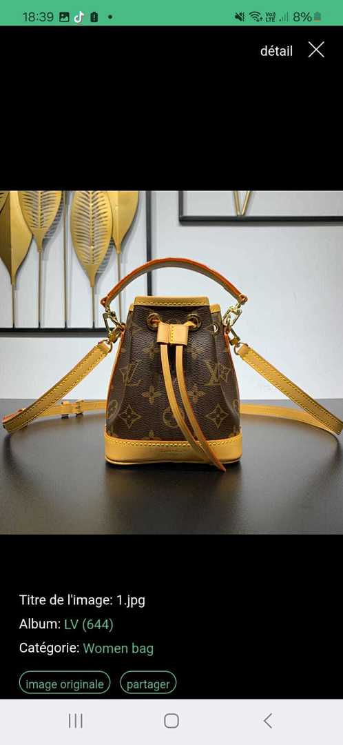 LV 80$   10831-T