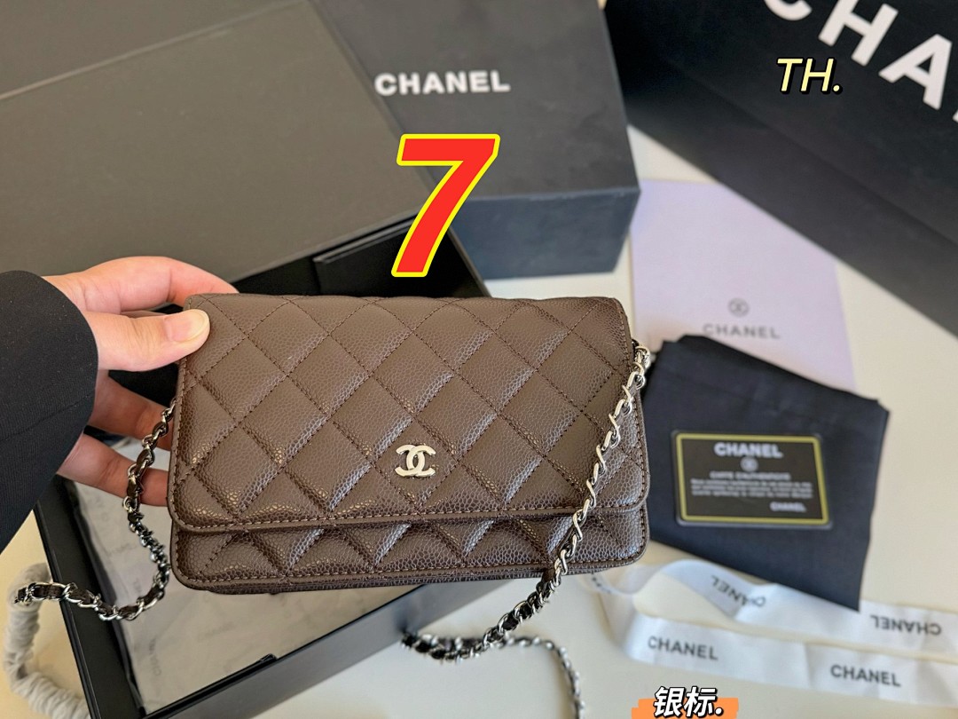 Chanel Wallet on Chain · 5423 — תמונה 13