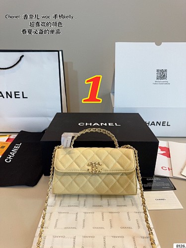 Chanel Kelly Clutch with Chain · 5493