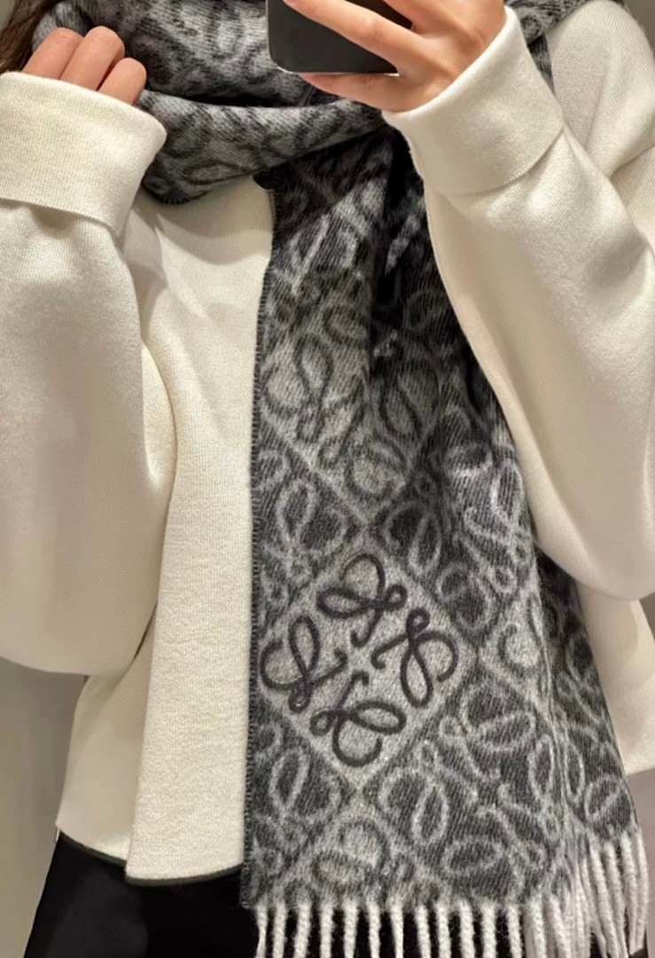 Loewe Anagram Scarf · 5865 — תמונה 18