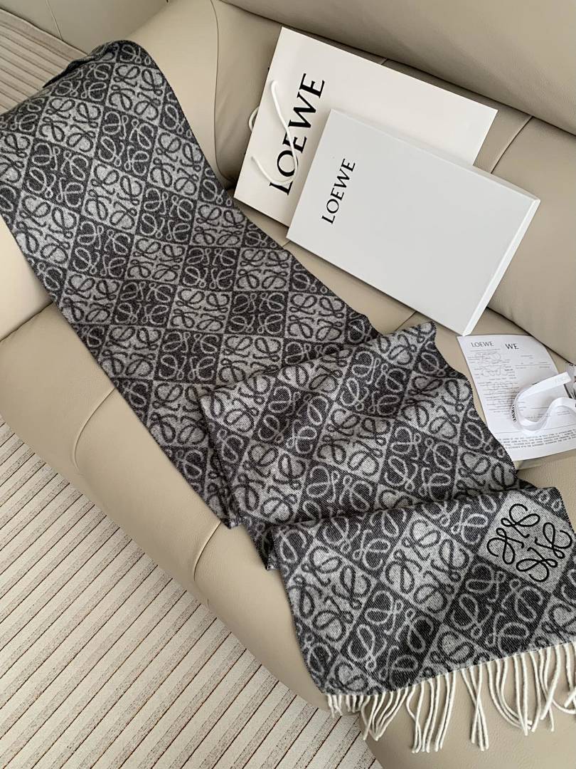 Loewe Anagram Scarf · 5865 — תמונה 13