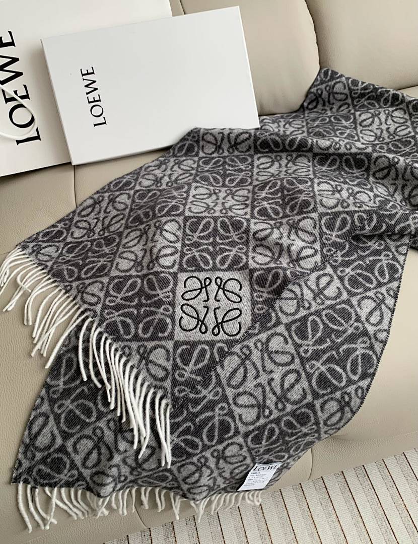 Loewe Anagram Scarf · 5865 — תמונה 15