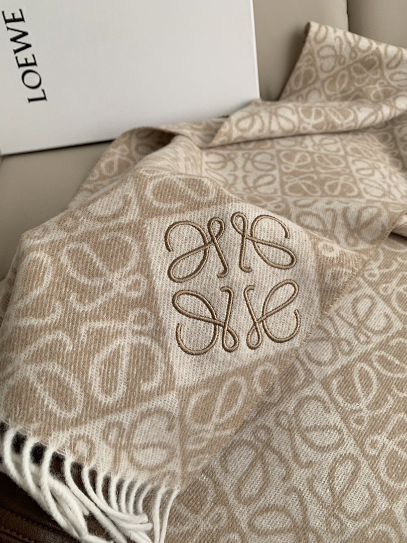 Loewe Anagram Scarf · 5865 — תמונה 10