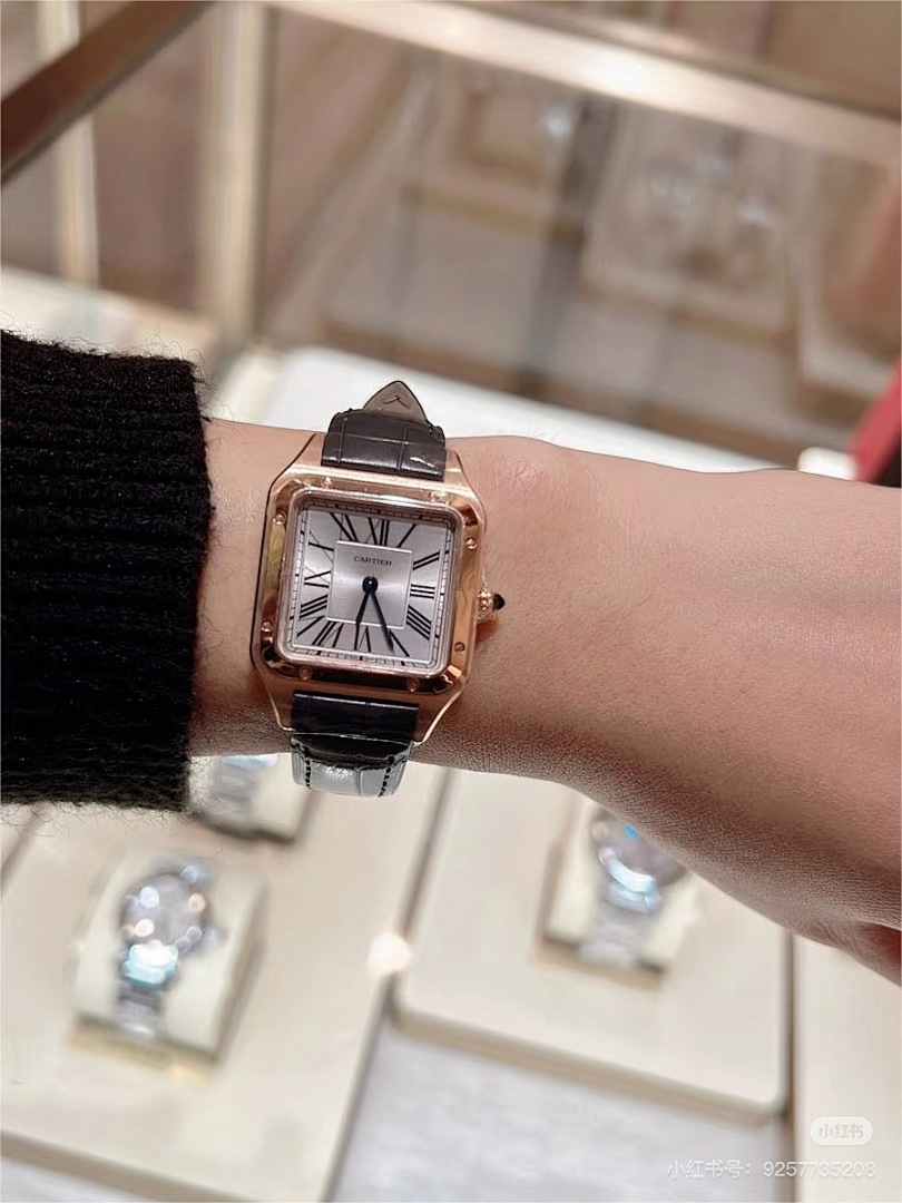 Cartier Santos-Dumont · 6083 — תמונה 14