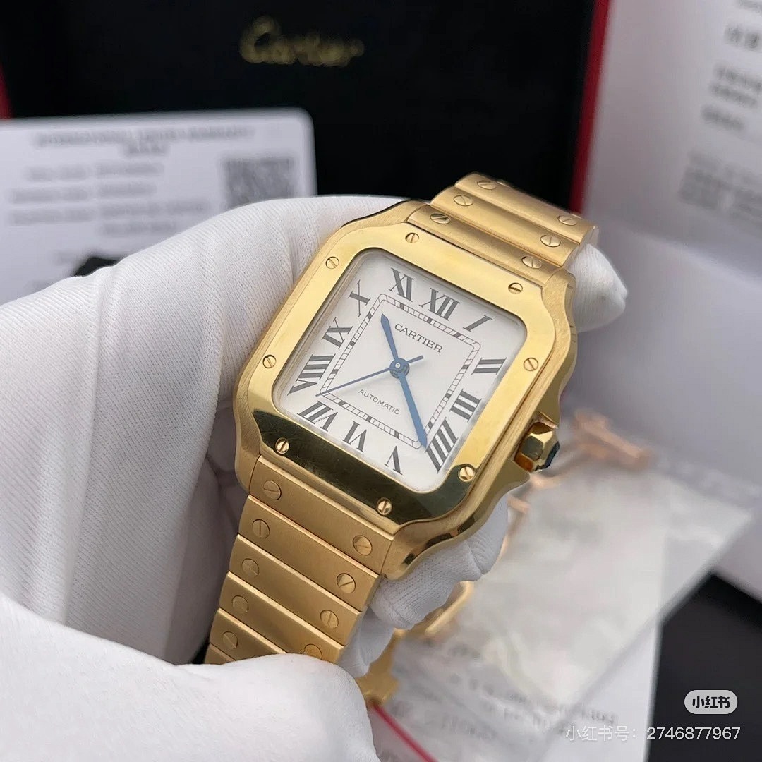 Santos de Cartier · 6097 — תמונה 41