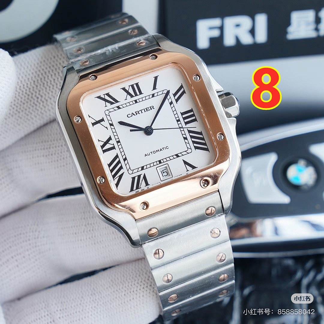 Santos de Cartier · 6097 — תמונה 12