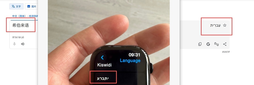רצועת שעון · 6349 — תמונה 3