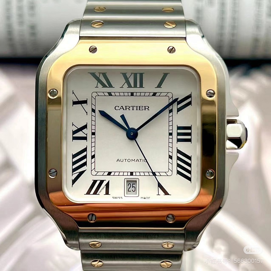 Santos de Cartier · 6097 — תמונה 17