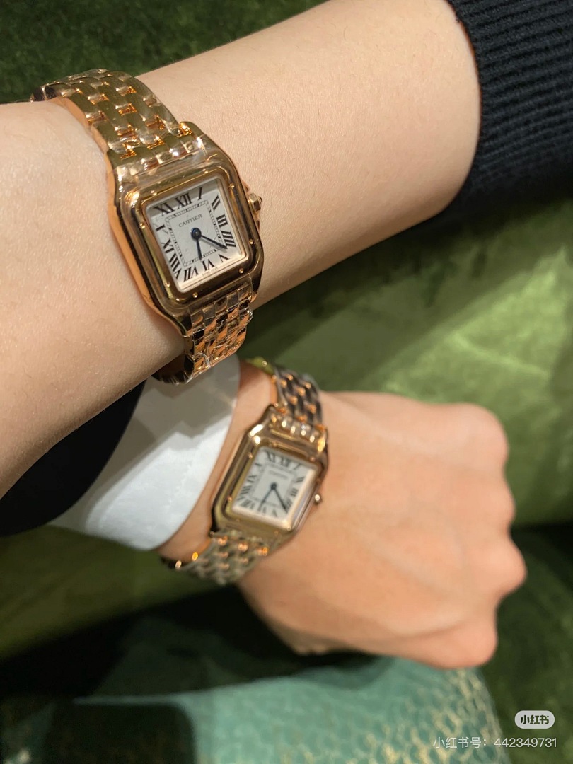 Panthère de Cartier · 5537 — תמונה 17