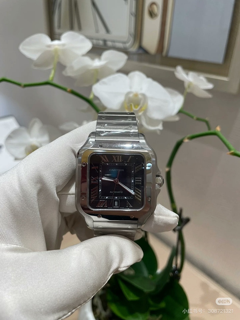 Santos de Cartier · 6097 — תמונה 37