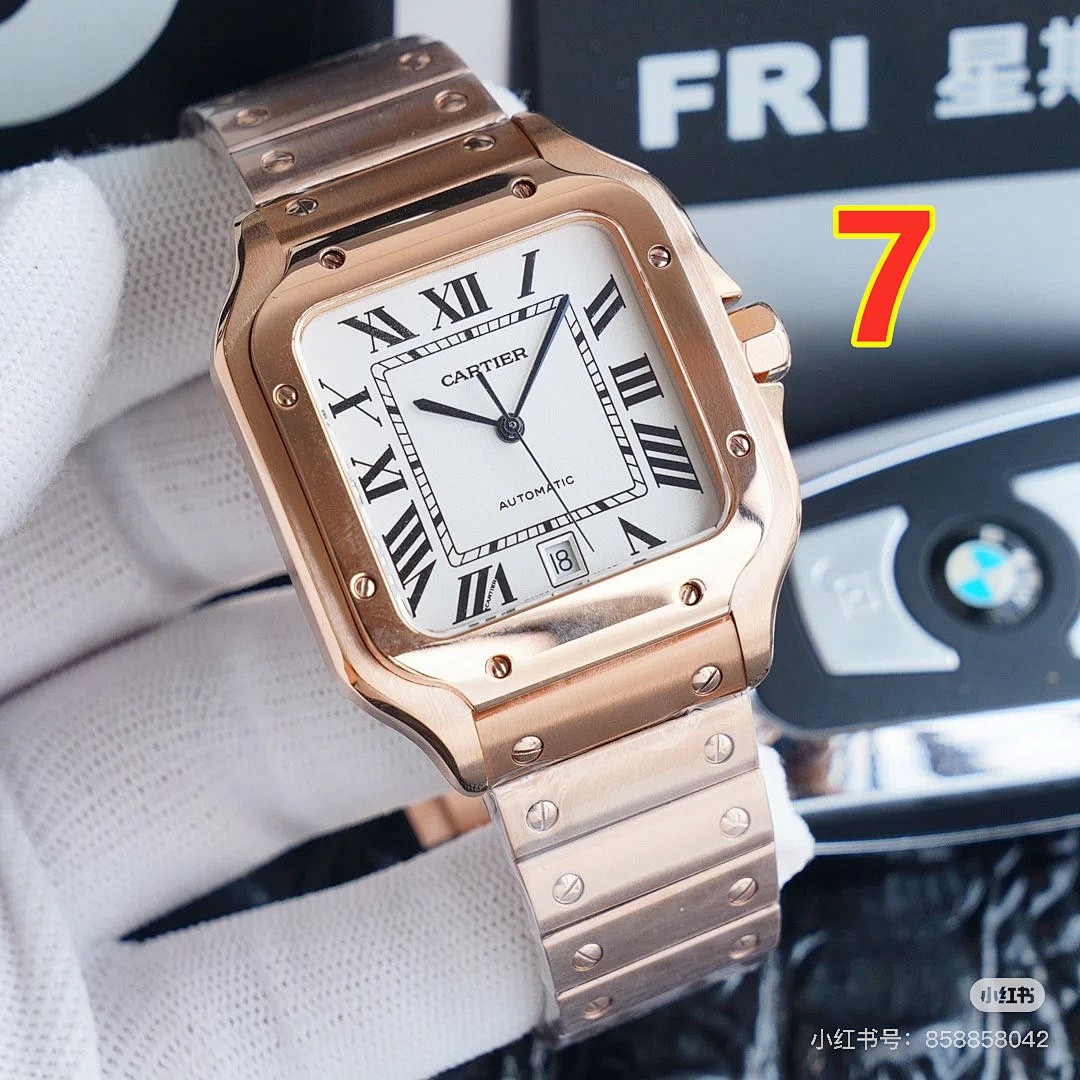 Santos de Cartier · 6097 — תמונה 11