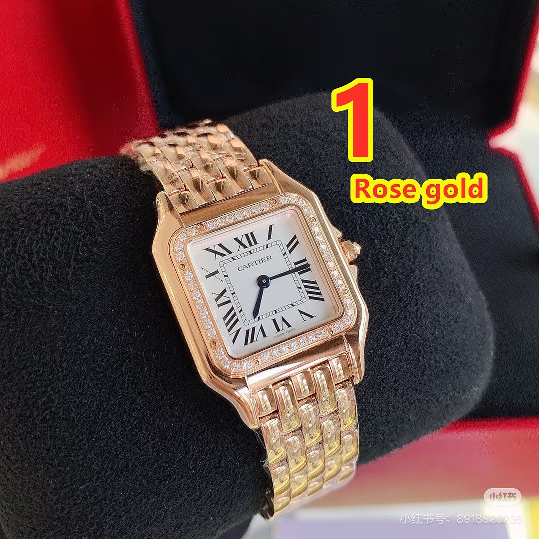 Panthère de Cartier · 6386