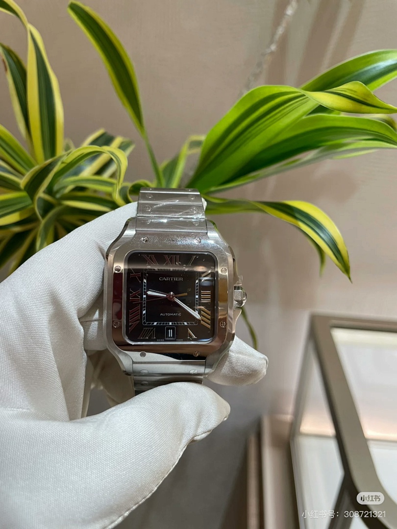 Santos de Cartier · 5885 — תמונה 3