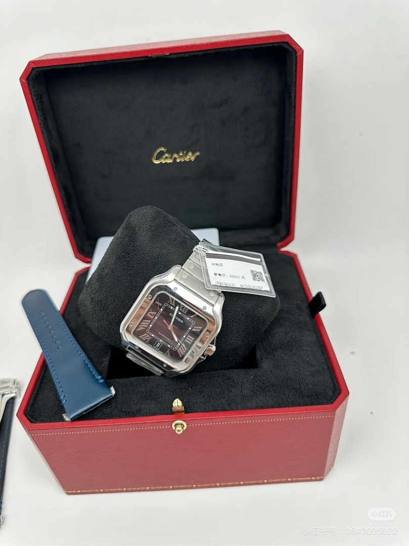 Santos de Cartier · 6097 — תמונה 21