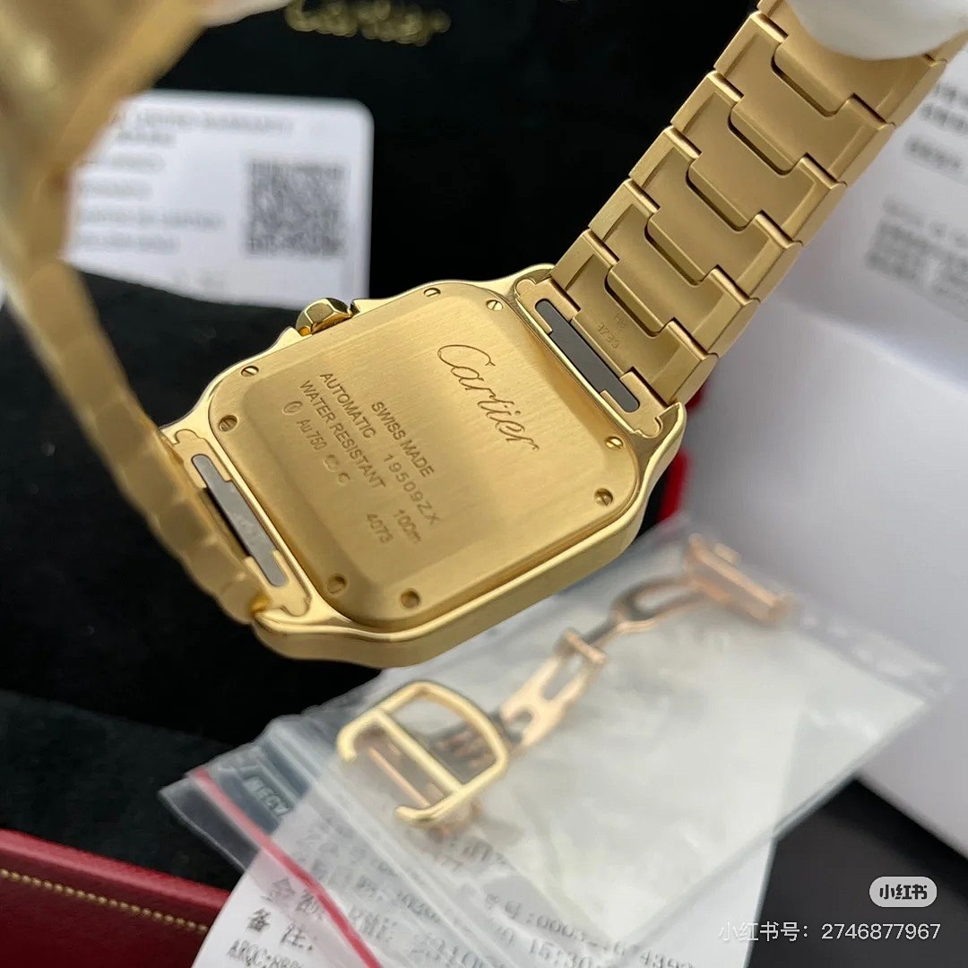 Santos de Cartier · 5885 — תמונה 10