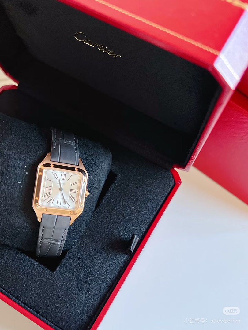 Cartier Santos-Dumont · 6382 — תמונה 12