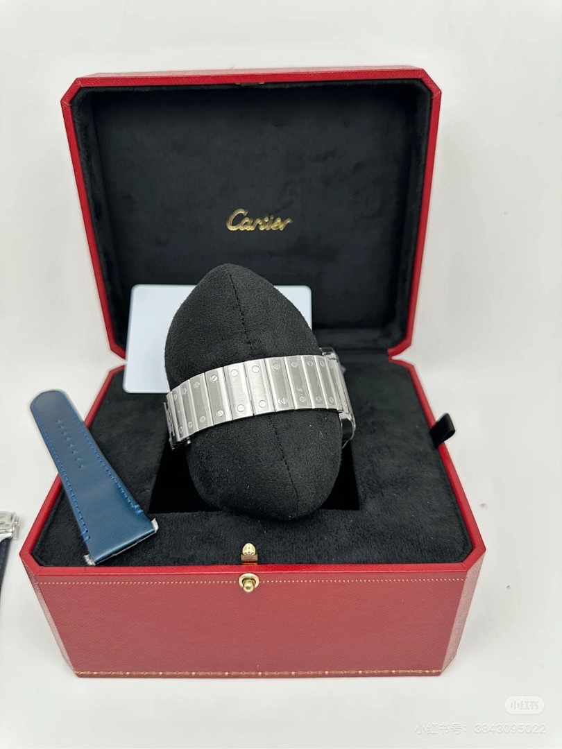 Santos de Cartier · 5885 — תמונה 6