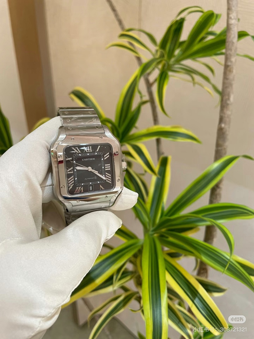 Santos de Cartier · 5885 — תמונה 8
