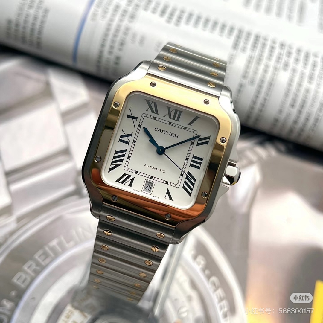 Santos de Cartier · 6097 — תמונה 18