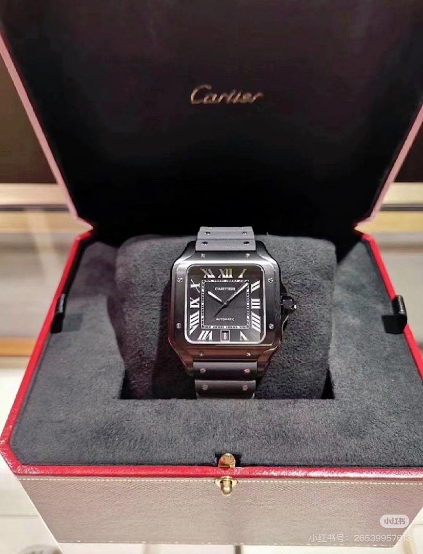 Santos de Cartier · 6097 — תמונה 20