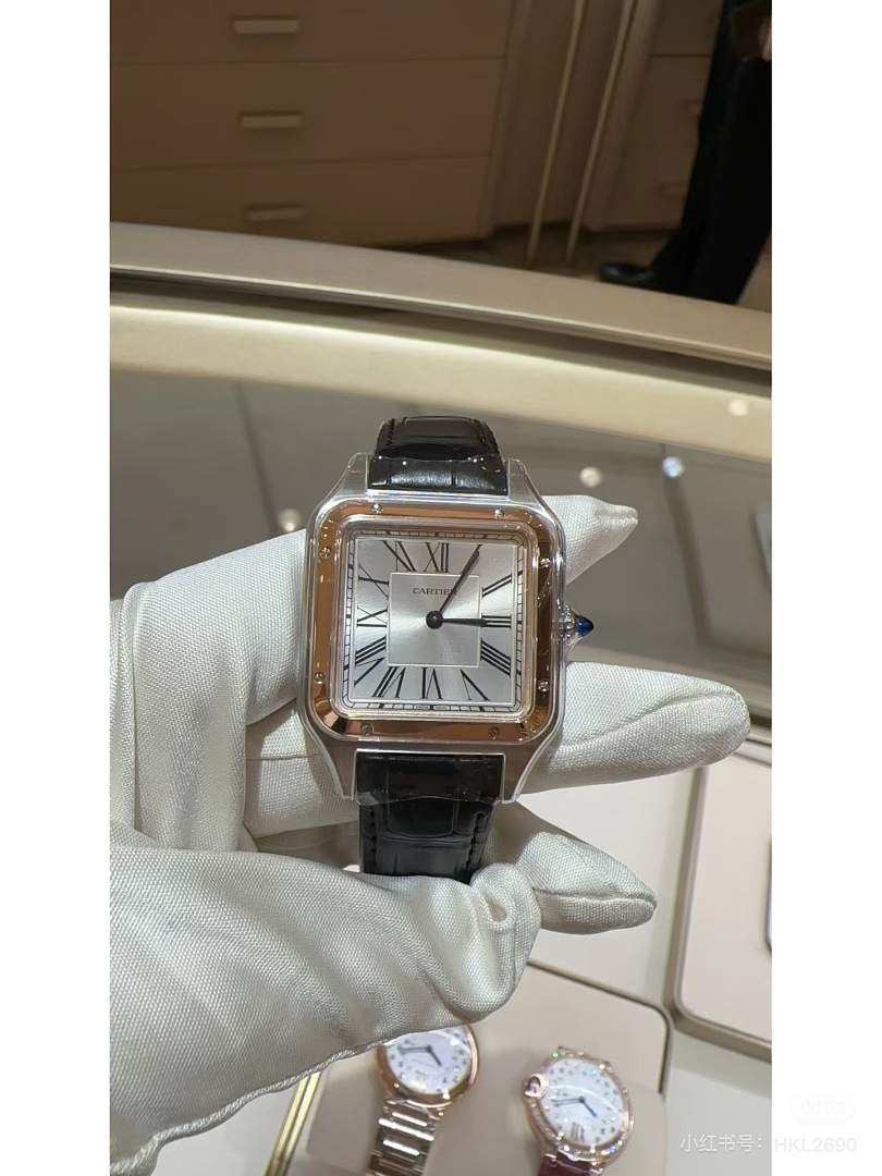 Cartier Santos-Dumont · 6382 — תמונה 10