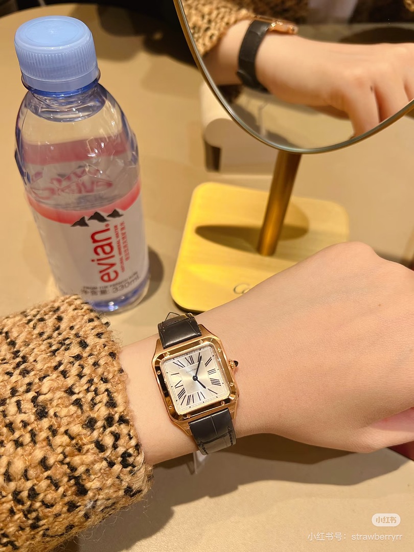 Cartier Santos-Dumont · 6382 — תמונה 5