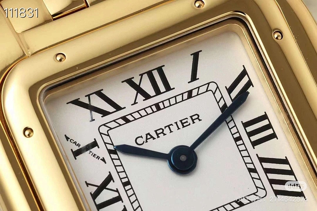 Panthère de Cartier · 5537 — תמונה 12