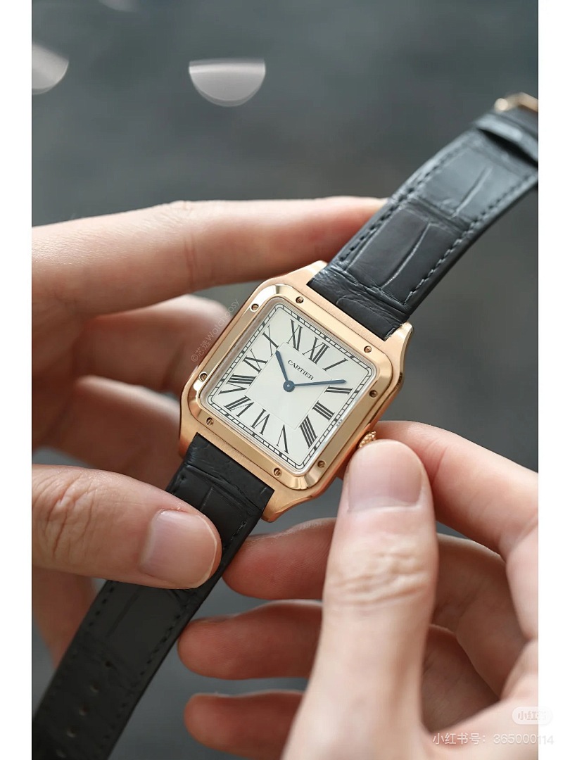 Cartier Santos-Dumont · 6083 — תמונה 10