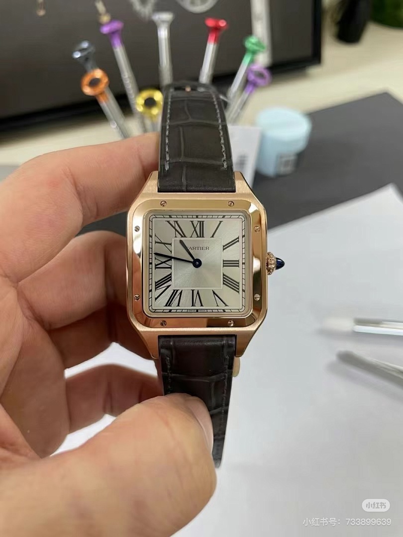 Cartier Santos-Dumont · 6083 — תמונה 6