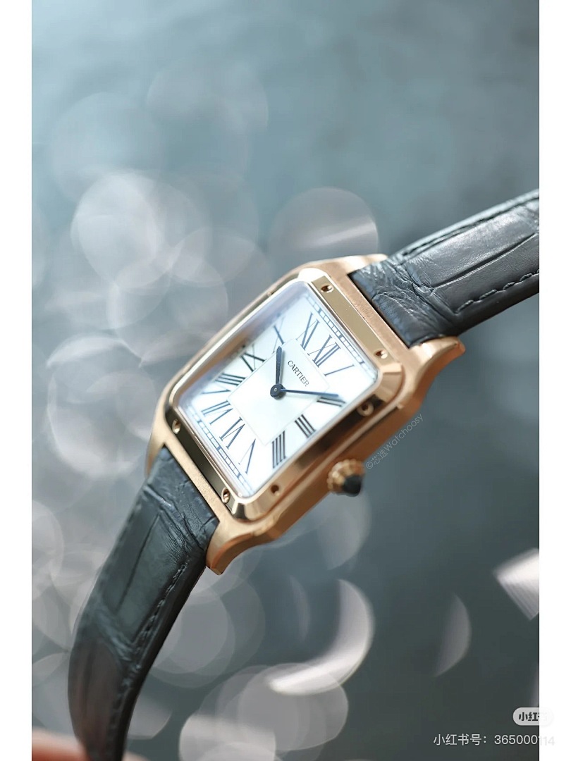 Cartier Santos-Dumont · 6083 — תמונה 8