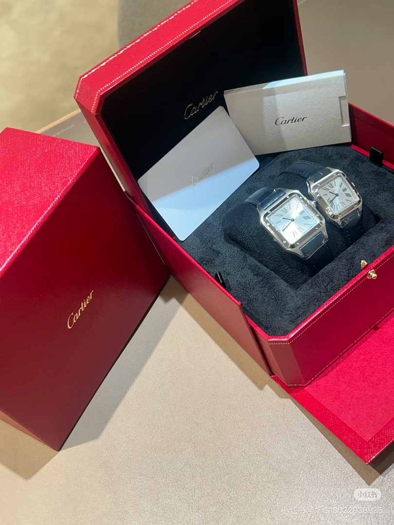 Cartier Santos-Dumont · 6382 — תמונה 6
