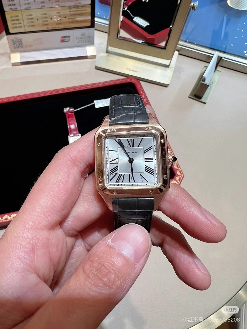 Cartier Santos-Dumont · 6083