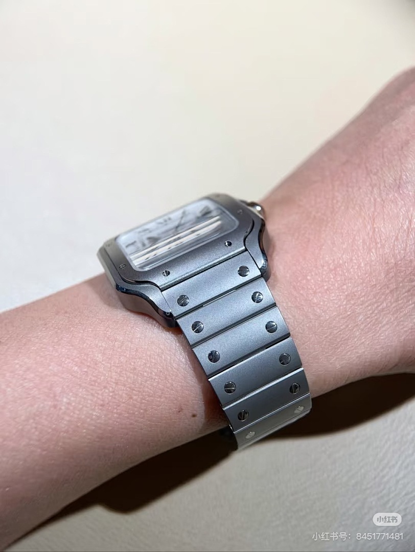 Santos de Cartier · 6097 — תמונה 40