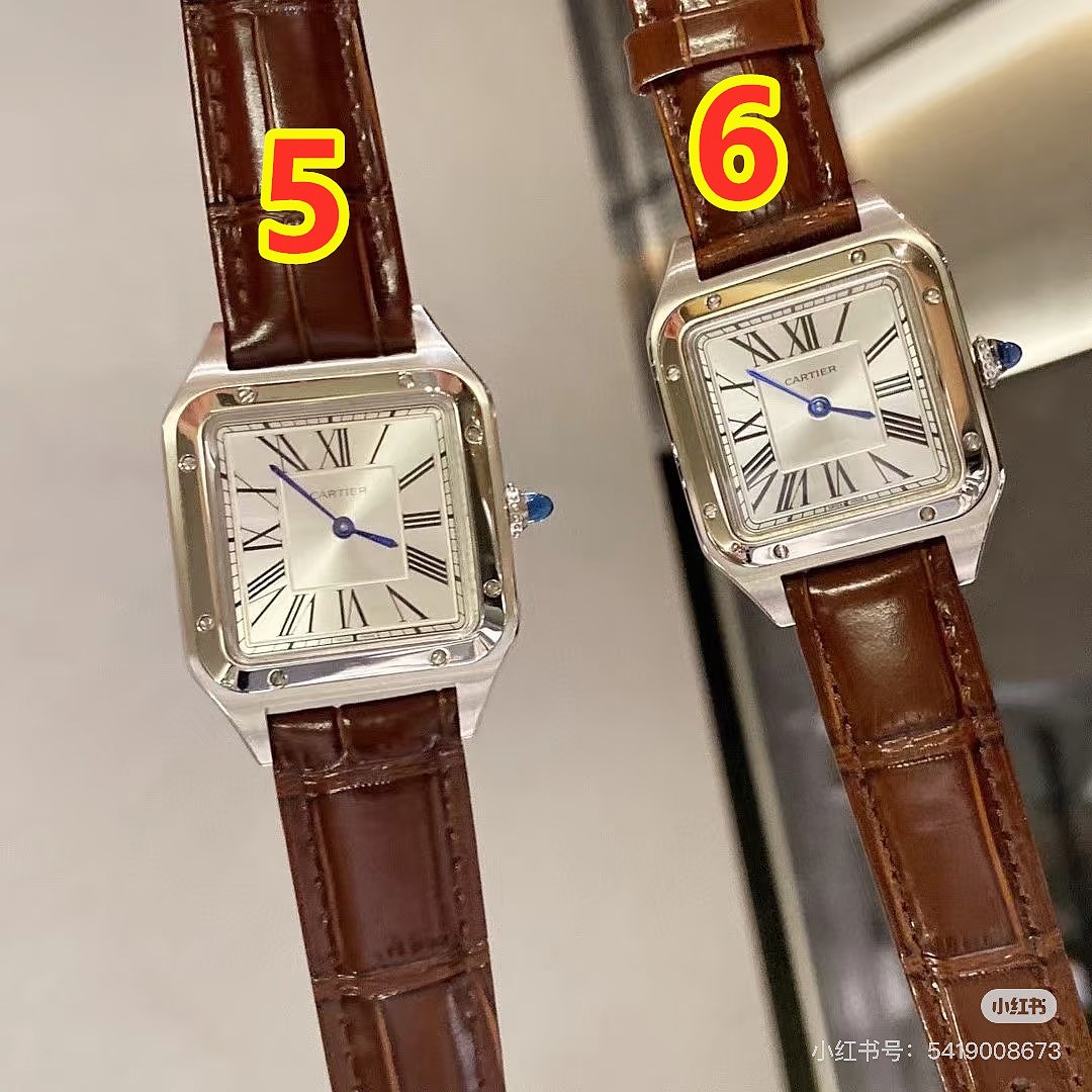 Cartier Santos-Dumont · 6369 — תמונה 4
