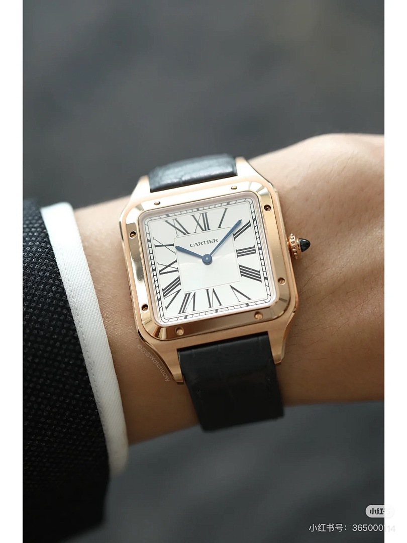 Cartier Santos-Dumont · 6083 — תמונה 12