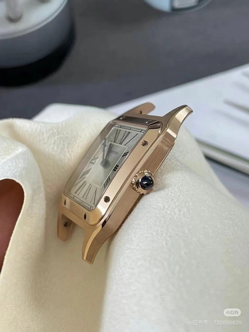 Cartier Santos-Dumont · 6083 — תמונה 4