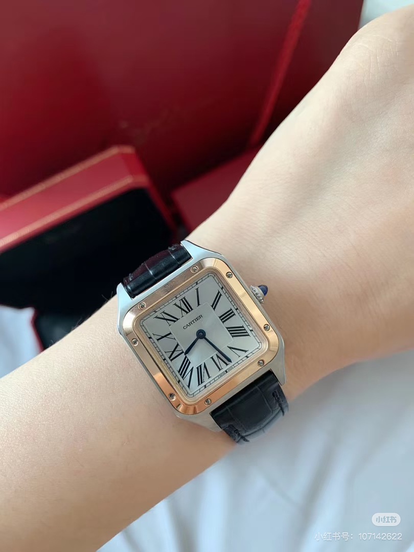 Cartier Santos-Dumont · 6382 — תמונה 11