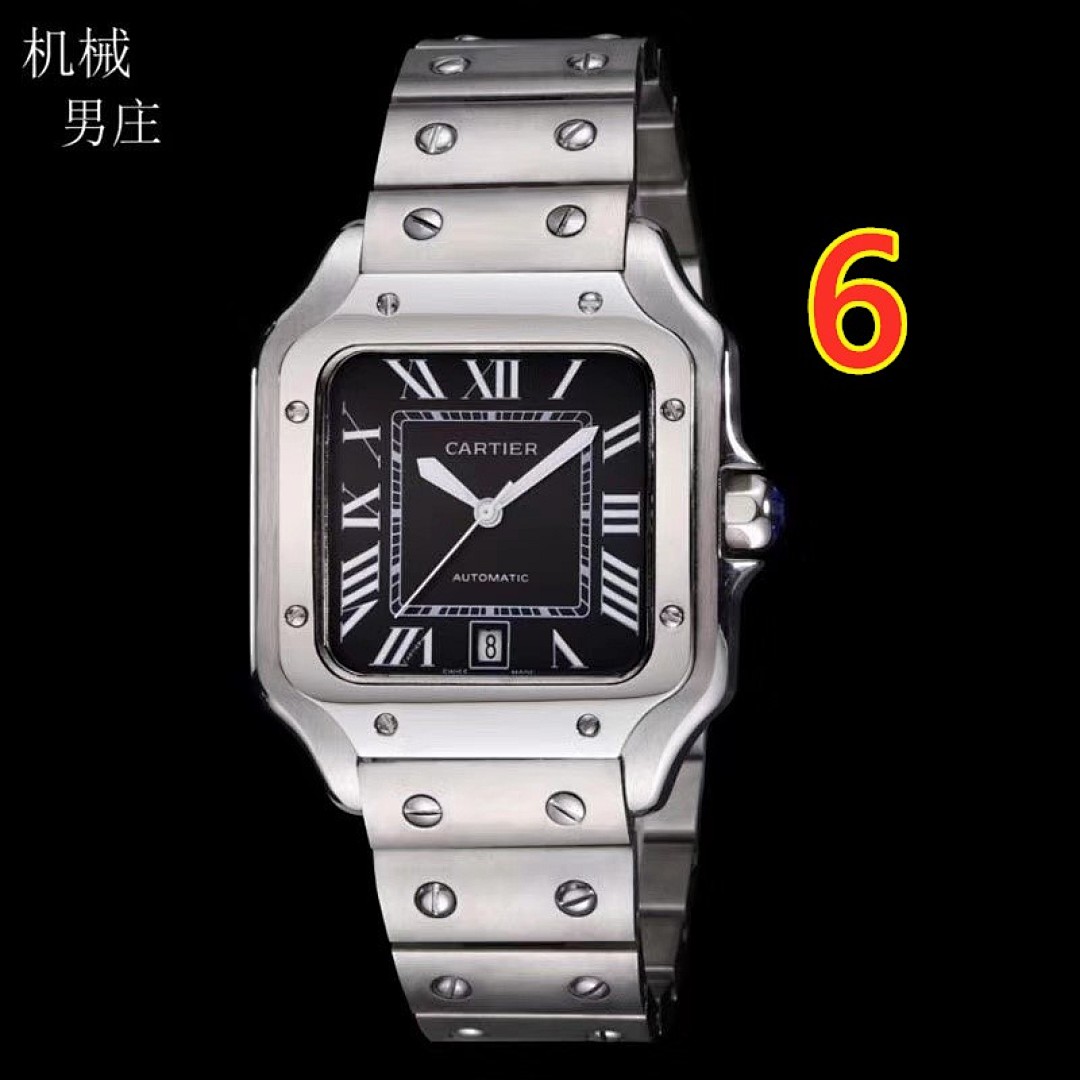Santos de Cartier · 5885 — תמונה 28