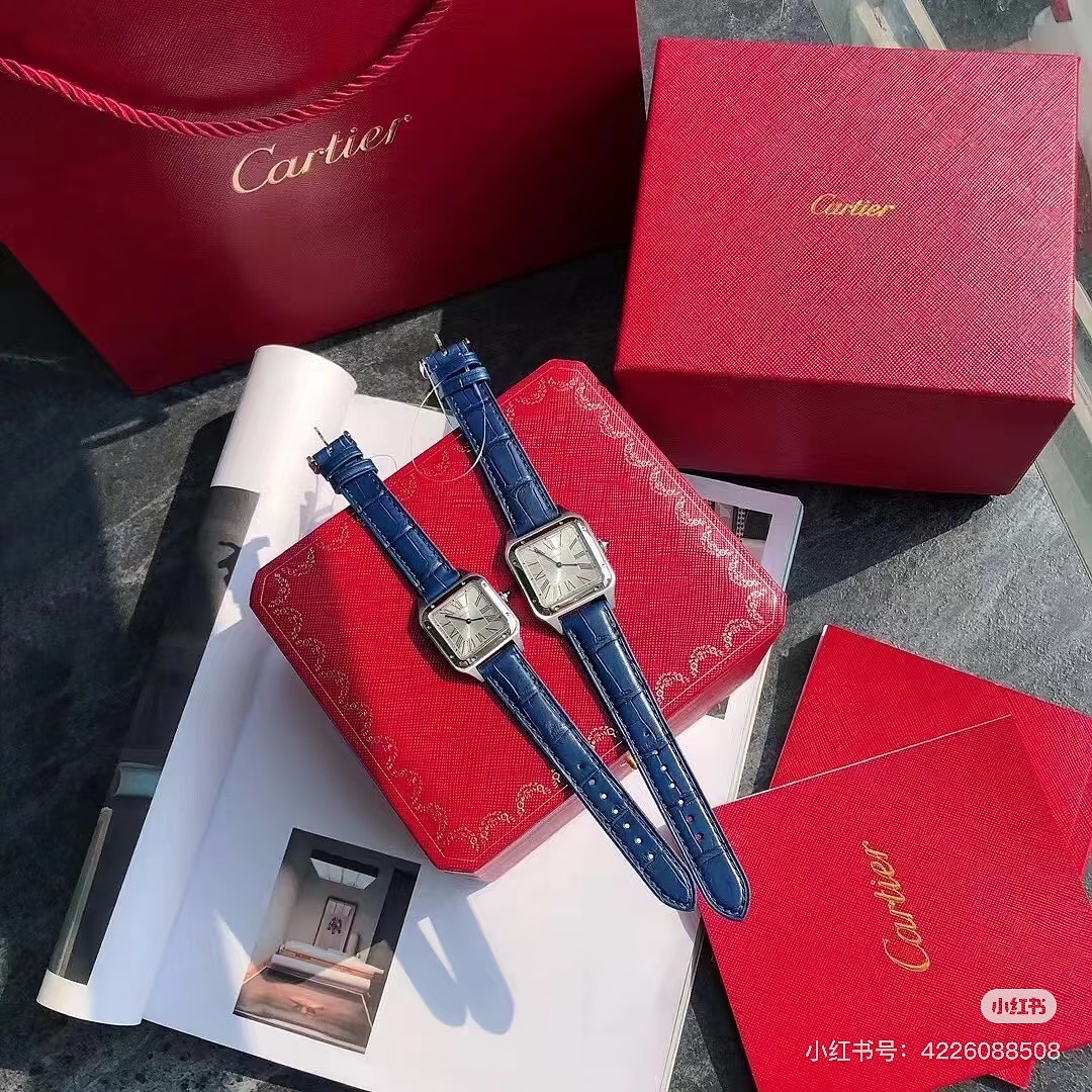 Cartier Santos-Dumont · 6369 — תמונה 14